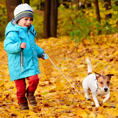 Miniatura 6 de Correa retráctil para perros pequeños y gatos de hasta 11 libras con cinta de nailon fuerte antitirones de 6.5 pies, manos libres, mini correa Azul