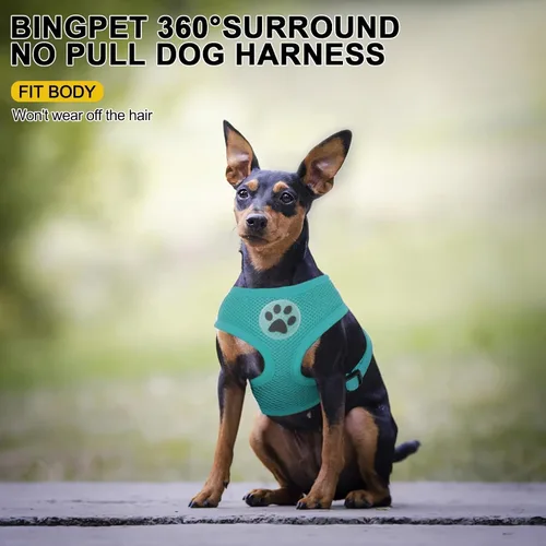 Miniatura 6 de BINGPET Arnés para perro sin tirones, arnés de chaleco tipo step-in de malla para todo clima para perros pequeños, arnés de malla transpirable