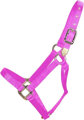 Miniatura 6 de Hamilton Caballo de nailon de 1 pulgada, tamaño pequeño (500-800 libras), azul baya