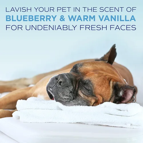 Miniatura 7 de TropiClean SPA Removedor de manchas de lágrimas para perros Champú facial de arándanos Eliminador de olores Sin lágrimas Blanqueador e