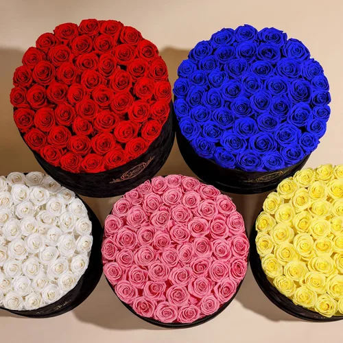 Miniatura 6 de Prifroti 17 flores en una caja de gamuza de lujo, regalos de cumpleaños para mujeres, flores preservadas, regalo de rosas para el día de la madre