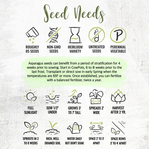 Miniatura 8 de Seed Needs Semillas de espárragos para plantar espárragos Mary Washington, semillas de vegetales perennes sin OMG y sin tratar para plantar un