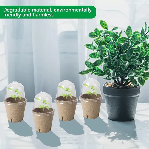 Miniatura 6 de EBaokuup 40 macetas biodegradables para siembra, macetas de vivero de plantas de 3.1 pulgadas con cúpula de humedad, macetas de turba para plantas
