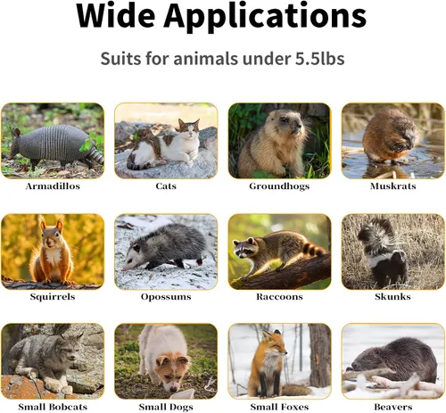 Miniatura 6 de Trampas para animales vivos de 26 pulgadas para gatos callejeros de hasta 5.5 libras, mapaches, ardilla, zorrilla, topo, marmota, armadillo, conejo