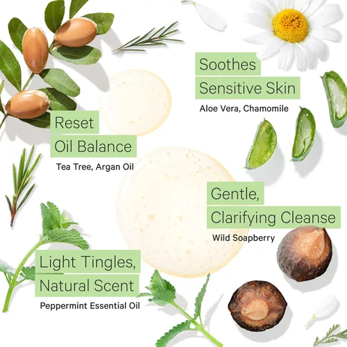 Miniatura 3 de Tree To Tub Champú de menta para cabello graso y cuero cabelludo sensible, champú aclarante suave para la acumulación, champú para el cabello anti