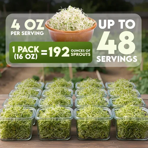 Miniatura 3 de Nature Jims Sprouts Semillas de trébol – Semillas germinantes orgánicas sin OMG para semillas frescas y ricas en nutrientes, llenas de vitaminas
