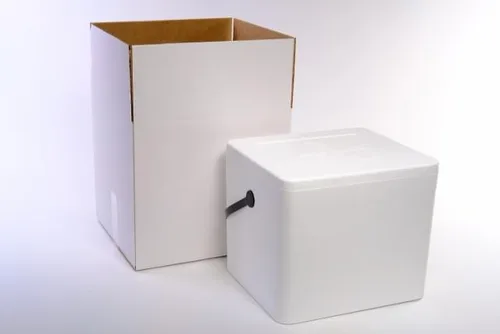 Enfriador de espuma de poliestireno de 22 cuartos | Cofre de hielo aislado grande y ligero para alimentos, bebidas y transporte médico |
