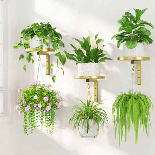 Miniatura 12 de LASZOLA 2 piezas de estantes de pared para plantas con ganchos para macetas de interior, soportes flotantes de ventana de metal resistente para Negro