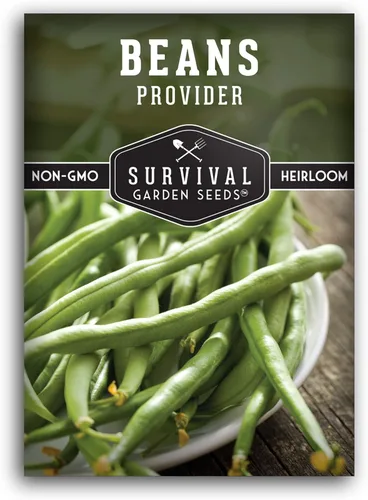 Semillas de frijol arbusto para plantar, variedad de judías verdes proveedoras, variedad de jardín sin cuerdas, altos rendimientos, ideal para camas