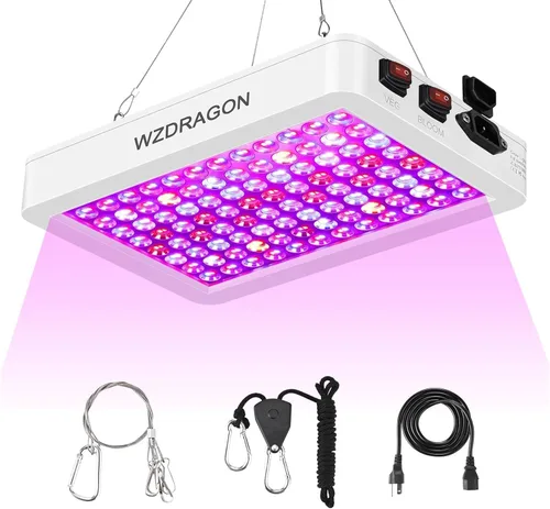 Luces de Cultivo LED BW1000 Mejoradas 2024 con Chips Dobles de Espectro Completo para Invernadero y Plantas de Interior, Crecimiento Vegetativo y