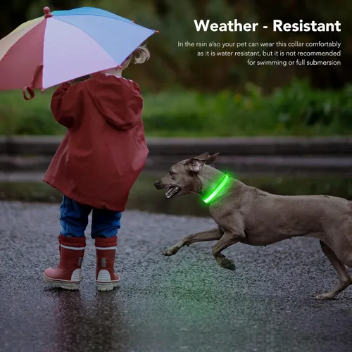 Miniatura 5 de Collares de perro con luz, collar de perro con luces LED, recargable, impermeable, collar iluminado totalmente ajustable, collar de perro oscuro