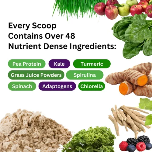 Miniatura 6 de Paradise Herbs Proteína de guisante en polvo, orgánica, keto, paleo, vegano, sin OMG, sin gluten, sin sabor, 15 porciones, 450 g (15.87 oz)