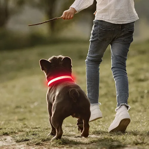 Miniatura 7 de YFbrite Collar de Perro LED Completamente Ajustable, Collares de Perro Completamente Iluminados, Collar de Perro Reflectante con Luz que Brilla