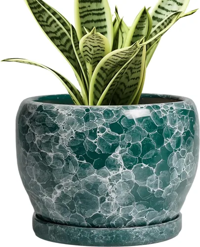 Miniatura 59 de SQOWL Macetas de cerámica – Maceta de 6 pulgadas con orificio de drenaje y bandeja, maceta redonda para plantas de interior, maceta decorativa
