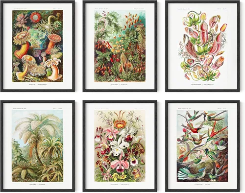 Miniatura 18 de HAUS AND HUES Impresiones de arte asiático, juego de 6 decoraciones japonesas contemporáneas de pared, pinturas de hokusai, carteles de ondas, Juego