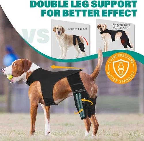 Miniatura 4 de Rodillera para perro para recuperación de desgarros del ligamento cruzado anterior – Soporte ortopédico ajustable para doble estabilidad