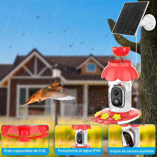 Miniatura 5 de Comedero de colibríes con cámara, cámara inteligente alimentadora de colibríes alimentada por energía solar con identificación IA, captura