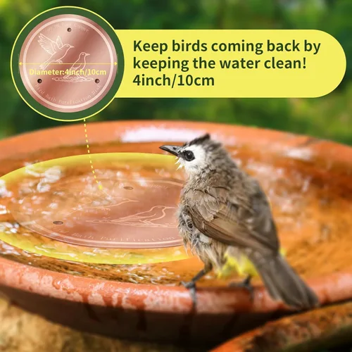 Miniatura 5 de Disco de cobre para baño, 99.99% de cobre puro para pájaros, soporte de triple punto, limpiador de agua para todas las estaciones para baños