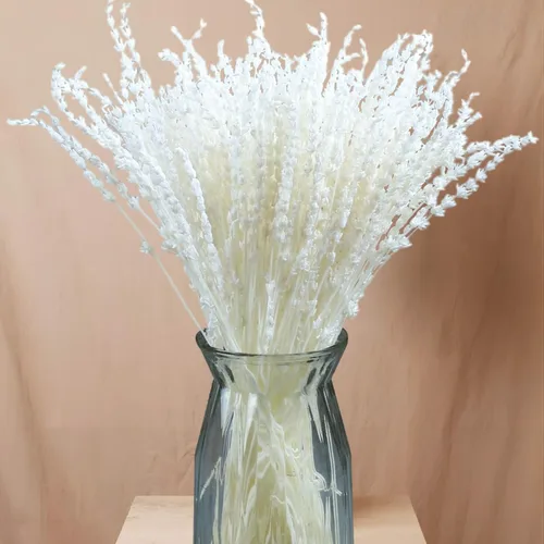 Iory White - Paquete de 180 flores secas de lavanda secas, ramo de lavanda blanca crema blanqueadora real para el hogar, boda, decoración de