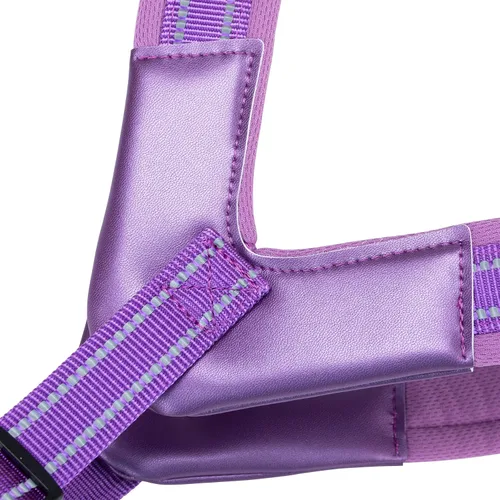 Miniatura 8 de EXCELLENT ELITE SPANKER Arnés para perro sin tirones Paso ajustable Chaleco reflectante con acolchado suave Correa para pecho para mascotas