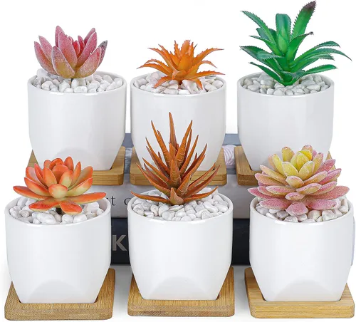 ARTKETTY Macetas para suculentas, maceta pequeña de 3 pulgadas con bandejas de drenaje, juego de 6, macetas de cerámica para plantas de interior,