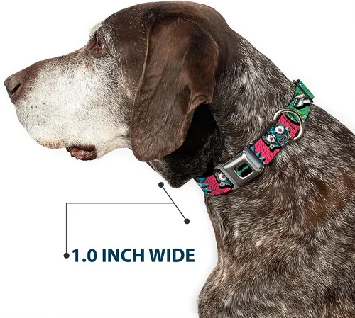 Miniatura 6 de Buckle-Down Collar de perro Hebilla de cinturón de seguridad Rick y Morty Circuito enfrenta Portal Gun 9 a 15 pulgadas 1.0 pulgadas de ancho