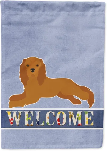 Miniatura 102 de Caroline's Treasures CK3647CHF - Bandera de bienvenida con diseño de bulldog francés, manga grande, para porche, para colgar en la pared, poliéster