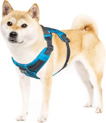 Outward Hound Boulder Adventure - Arnés ajustable para perro con bolsillos, turquesa, mediano