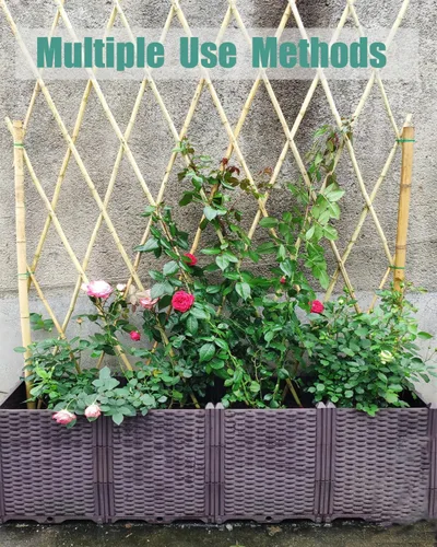 Miniatura 5 de Estacas de bambú de 4 pies con 100 bridas giratorias, estacas de jardín de bambú natural para tomates, pepino, uvas, judías, árboles, flores