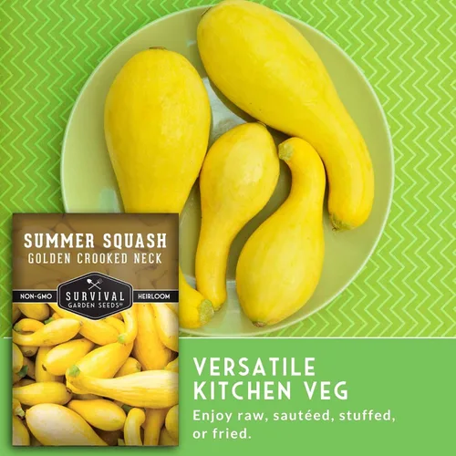 Miniatura 6 de Crookneck - Semillas de calabaza para plantar – Variedad de verano sin OMG – Vegetal de crecimiento rápido de alto rendimiento – Semillas de jardín