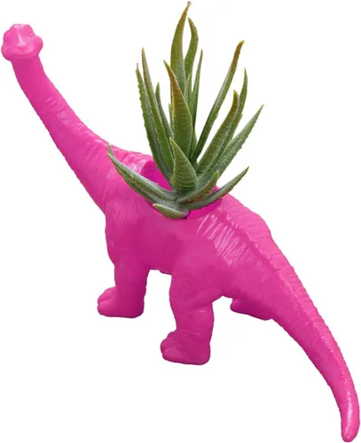 Miniatura 12 de Aislor Maceta suculenta con forma de dinosaurio con bandeja de drenaje, florero multiusos para bonsái, maceta creativa de cactus con orificio