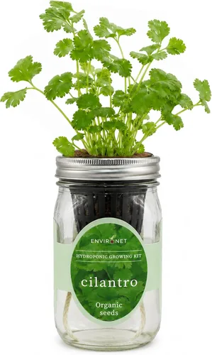 Miniatura 12 de Kit de Cultivo Hidropónico, Kit de Inicio de Jardín de Hierbas en Frasco Mason con Autoriego para Interiores, Jardín de Hierbas para Alféizar