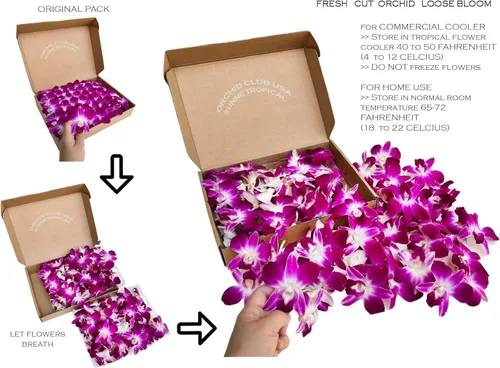 Miniatura 4 de Miami Fresh Orchid Flower OrchidClub USA Sunne Tropical Loose Bloom DIY Lei Food Drink Decoración (50 morado)