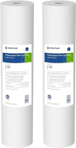Pentair Pentek DGD-7525-20 Filtro de Agua Big Blue, Cartucho de Repuesto de Filtro de Sedimentos para Toda la Casa de 20 Pulgadas, Polipropileno