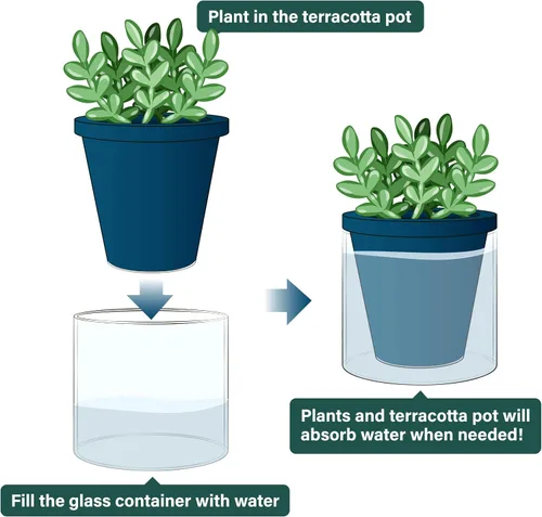 Miniatura 4 de D'vine Dev Maceta de Diseño de Riego Automático de 4 Pulgadas para Plantas de Interior, Maceta de Terracota Azul con Vaso Cilíndrico de Vidrio