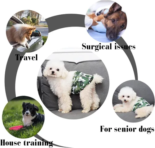 Miniatura 6 de Pañal reutilizable para perro macho, lavable, tela duradera y absorbente, envoltura para vientre (paquete de 3), color soñar, XL