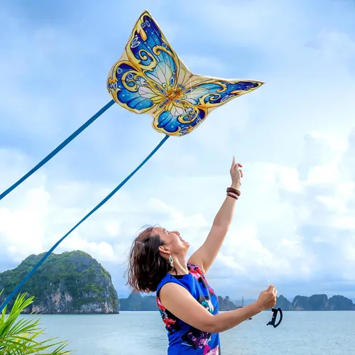 Miniatura 4 de Xida - Cometa de mariposa para niños y adultos, fácil de volar, de 4 a 8 años, cometa grande con mango de 300 pies, perfecta para viajes a la playa