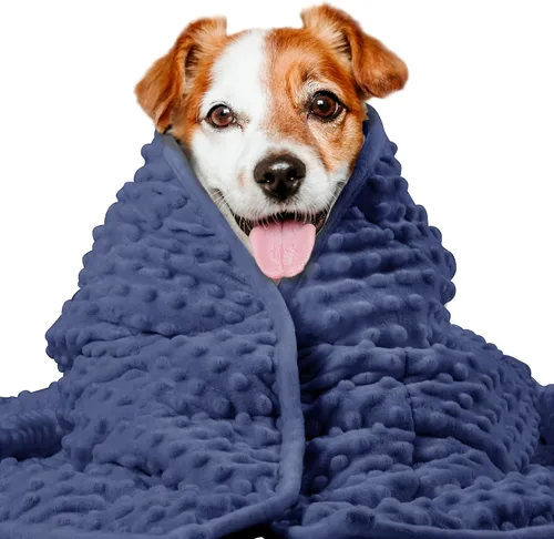 LaSyL Manta con Peso para Mascotas | Manta Antitruenos para la Ansiedad de Perros | Minky Suave Premium | Relajación y Calma y Anti Ansiedad | Se