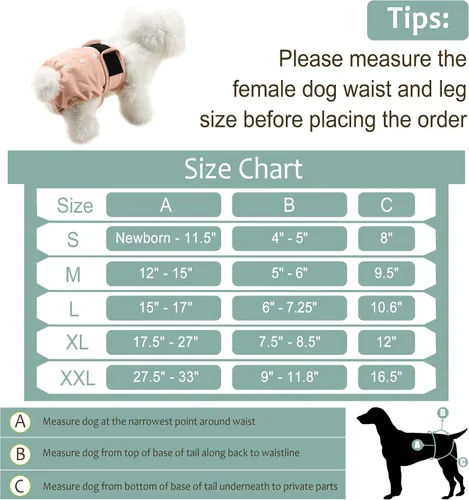 Miniatura 72 de Pañales lavables para perros, para hembras caninas, reutilizables, para periodo de celo, altamente absorbentes, para incontinencia, con broches