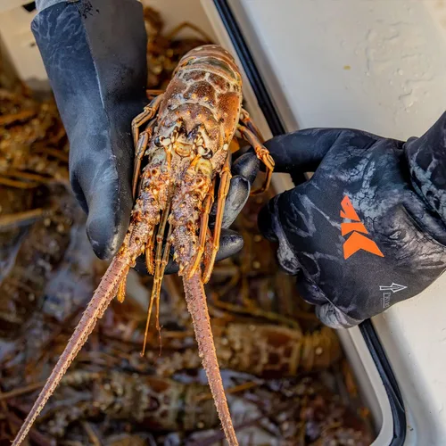 Miniatura 6 de KastKing IceRiver - Guantes de pesca 100% impermeables para hombres y mujeres, para pesca en clima frío y deportes al aire libre, ideales para pesca