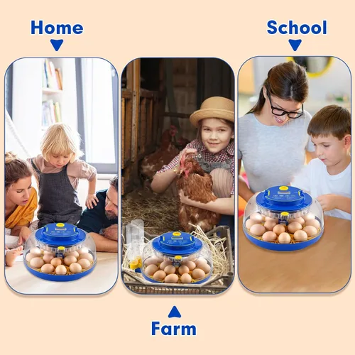 Miniatura 7 de Incubadora automática de 18 huevos con control de temperatura y humedad, incubadoras para incubar huevos, pollo, patos, ganso, paloma, codorniz