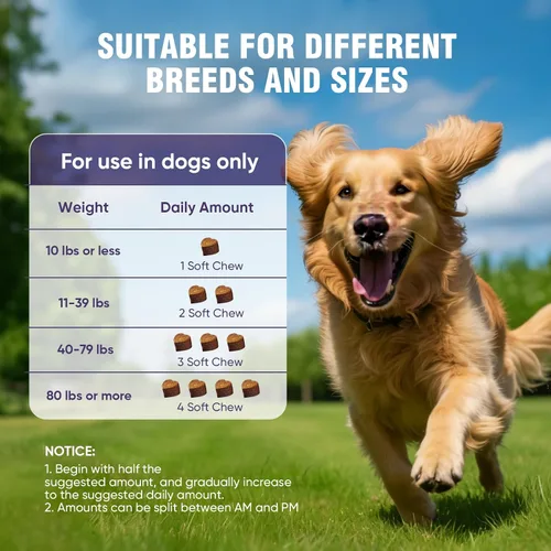 Miniatura 7 de Glucosamina para perros, 200 unidades de suplemento de apoyo para las articulaciones, condroitina para perros y cadera y articulaciones, golosinas