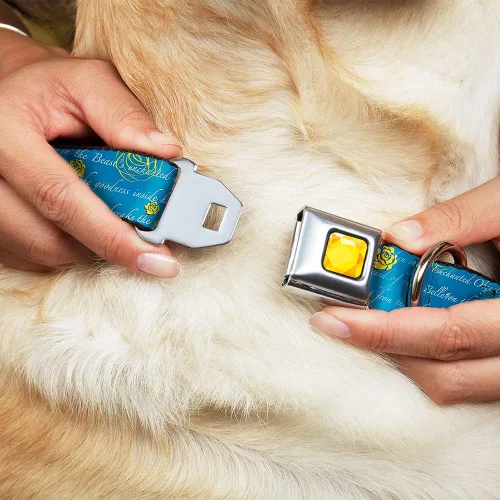 Miniatura 8 de Buckle-Down Collar de perro con hebilla de cinturón de seguridad, con texto de la historia de la Bella y la Bestia, 1 pulgada de ancho, se adapta a