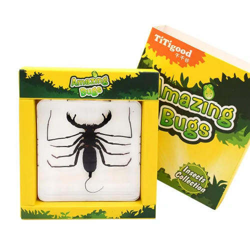 Miniatura 5 de Insecto animal real látigo escorpión espécimen pisapapeles Typopeltis Níger Taxidermia Ciencias Aula Espécimen para la educación científica