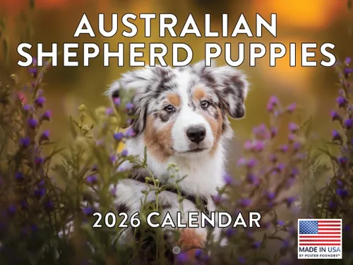 Miniatura 144 de Calendario de pared mensual 2025 Great Dane de 12 meses, fabricado en Estados Unidos