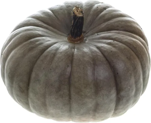 Miniatura 67 de 50 Hale's Best Cantaloupe Seeds for Planting - Sweet Aromatic Heirloom, Non-GMO, USA Grown by RDR Seeds