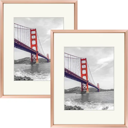 Miniatura 29 de Frametory, Portarretratos de metal de 16 x 24 pulgadas con paspartú para fotos de 12 x 18 pulgadas y vidrio real, colección de marcos de fotos