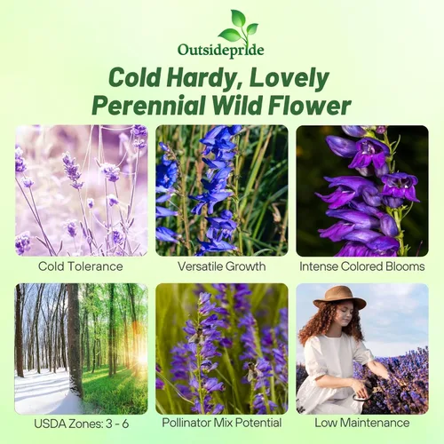 Miniatura 2 de Outsidepride 5000 semillas perennes Penstemon Rocky Mountain Wild Flower Seeds para plantar