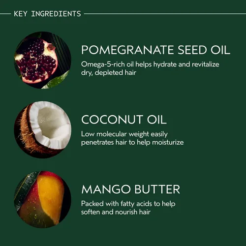 Miniatura 4 de Aveda Nutriplenish Conditioner Light Moisture Hydrating Conditioner for Fine to Medium Dry Hair Organic Pomegranate Oil, Coconut Oil, Mango