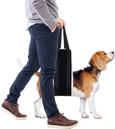 Miniatura 8 de Hevy Duty Arnés portátil de elevación para perros de 20 a 150 libras, arnés de elevación portátil para patas traseras, arnés de cadera para perros